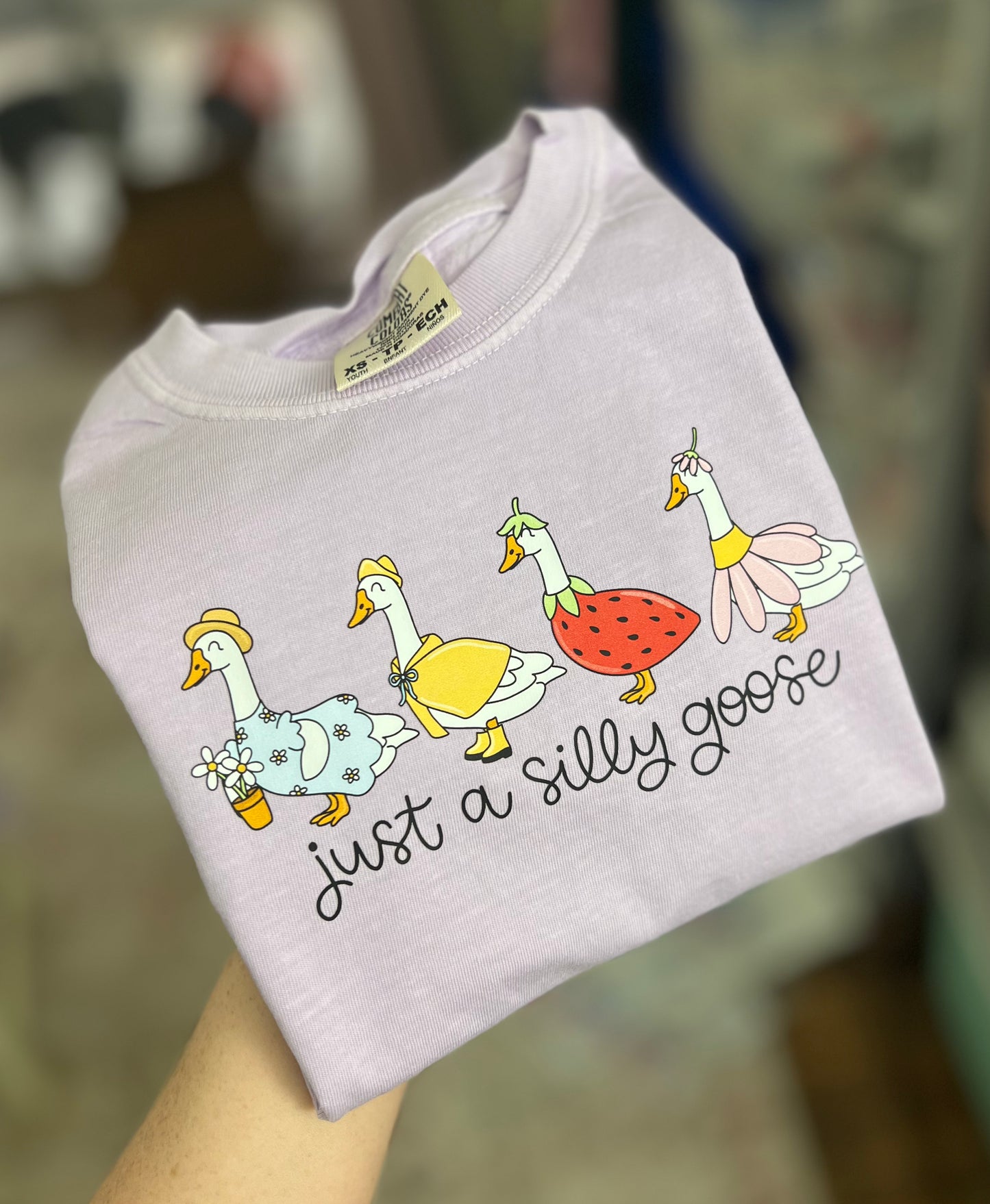Just a Silly Goose (adult-youth)